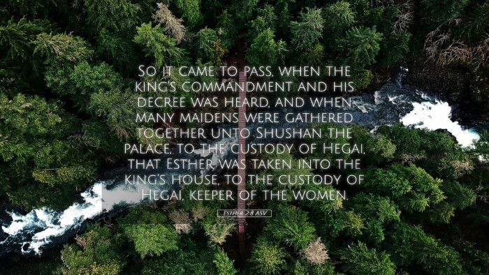 Picture 05 - Esther 2:8 ASV Desktop Wallpaper - So it came to pass, when the king's commandment - Desktop Bible Verse Wallpaper