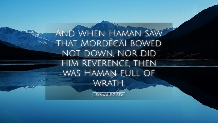 Picture 05 - Esther 3:5 ASV Desktop Wallpaper - And when Haman saw that Mordecai bowed not down, - Desktop Bible Verse Wallpaper