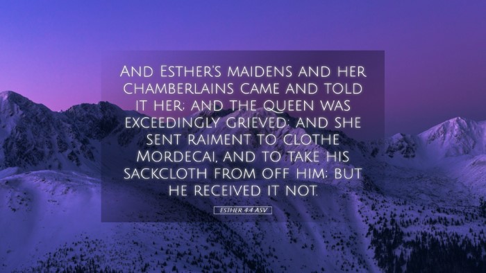 Picture 05 - Esther 4:4 ASV Desktop Wallpaper - And Esther's maidens and her chamberlains came - Desktop Bible Verse Wallpaper