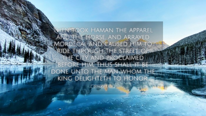 Picture 05 - Esther 6:11 ASV Desktop Wallpaper - Then took Haman the apparel and the horse, and - Desktop Bible Verse Wallpaper
