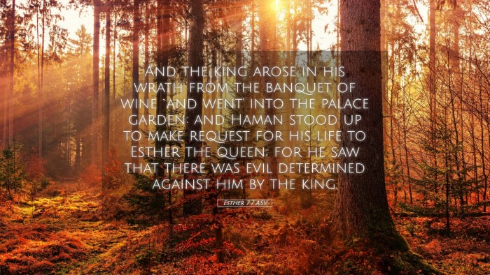 Picture 05 - Esther 7:7 ASV Desktop Wallpaper - And the king arose in his wrath from the banquet - Desktop Bible Verse Wallpaper