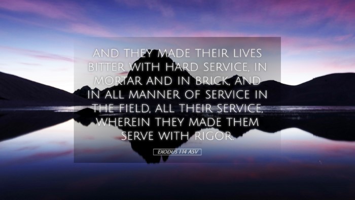 Picture 05 - Exodus 1:14 ASV Desktop Wallpaper - and they made their lives bitter with hard - Desktop Bible Verse Wallpaper