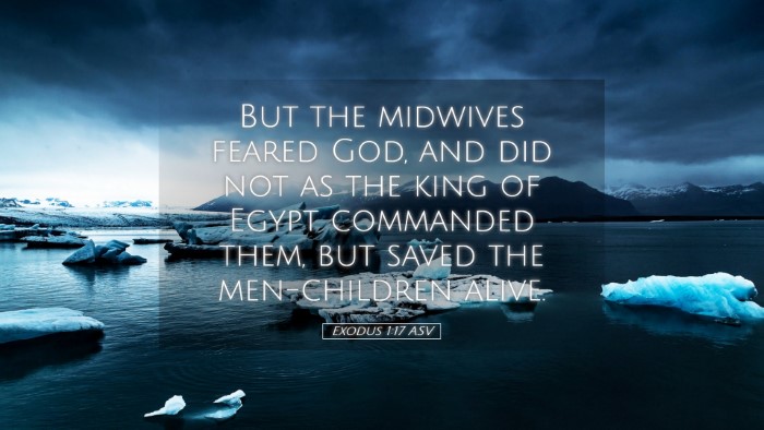 Picture 05 - Exodus 1:17 ASV Desktop Wallpaper - But the midwives feared God, and did not as the - Desktop Bible Verse Wallpaper