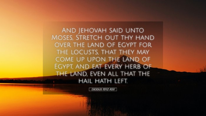 Picture 05 - Exodus 10:12 ASV Desktop Wallpaper - And Jehovah said unto Moses, Stretch out thy hand - Desktop Bible Verse Wallpaper