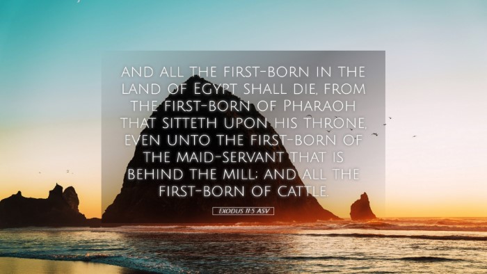 Picture 05 - Exodus 11:5 ASV Desktop Wallpaper - and all the first-born in the land of Egypt shall - Desktop Bible Verse Wallpaper