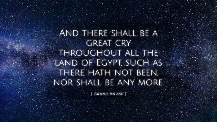 Picture 05 - Exodus 11:6 ASV Desktop Wallpaper - And there shall be a great cry throughout all the - Desktop Bible Verse Wallpaper