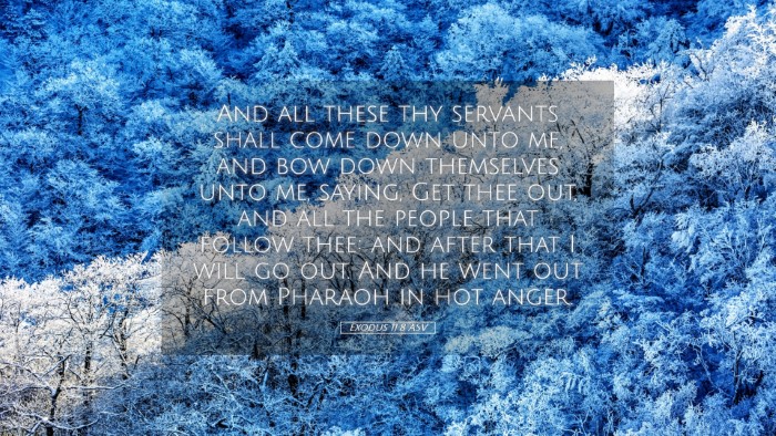 Picture 05 - Exodus 11:8 ASV Desktop Wallpaper - And all these thy servants shall come down unto - Desktop Bible Verse Wallpaper