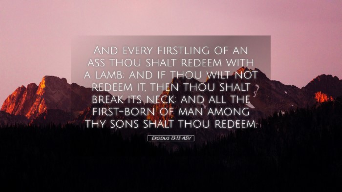 Picture 05 - Exodus 13:13 ASV Desktop Wallpaper - And every firstling of an ass thou shalt redeem - Desktop Bible Verse Wallpaper