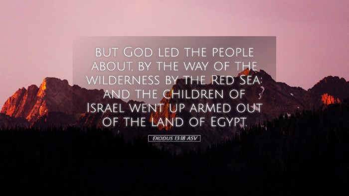 Picture 05 - Exodus 13:18 ASV Desktop Wallpaper - but God led the people about, by the way of the - Desktop Bible Verse Wallpaper