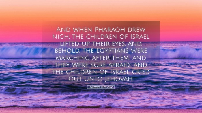Picture 05 - Exodus 14:10 ASV Desktop Wallpaper - And when Pharaoh drew nigh, the children of - Desktop Bible Verse Wallpaper