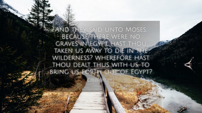 Picture 05 - Exodus 14:11 ASV Desktop Wallpaper - And they said unto Moses, Because there were no - Desktop Bible Verse Wallpaper