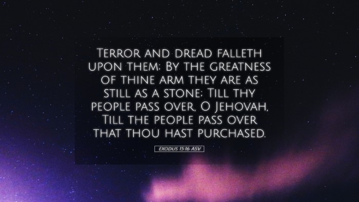 Picture 05 - Exodus 15:16 ASV Desktop Wallpaper - Terror and dread falleth upon them; By the - Desktop Bible Verse Wallpaper
