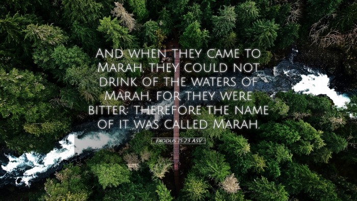 Picture 05 - Exodus 15:23 ASV Desktop Wallpaper - And when they came to Marah, they could not drink - Desktop Bible Verse Wallpaper