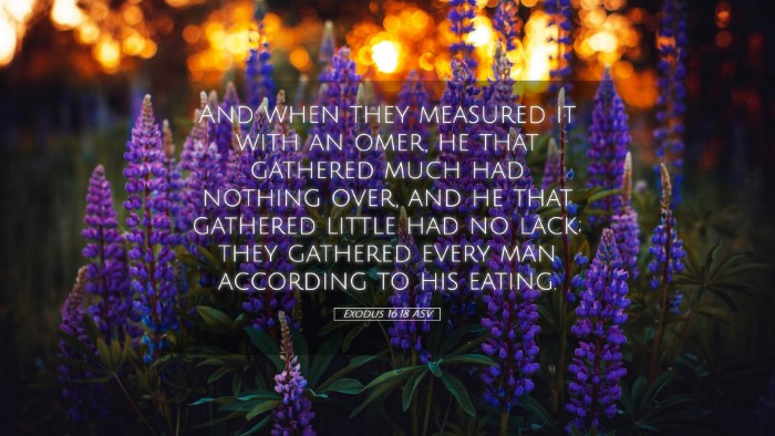Picture 05 - Exodus 16:18 ASV Desktop Wallpaper - And when they measured it with an omer, he that - Desktop Bible Verse Wallpaper