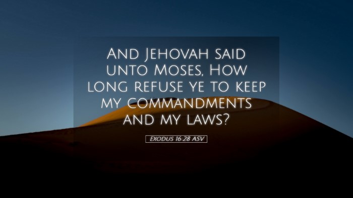 Picture 05 - Exodus 16:28 ASV Desktop Wallpaper - And Jehovah said unto Moses, How long refuse ye - Desktop Bible Verse Wallpaper