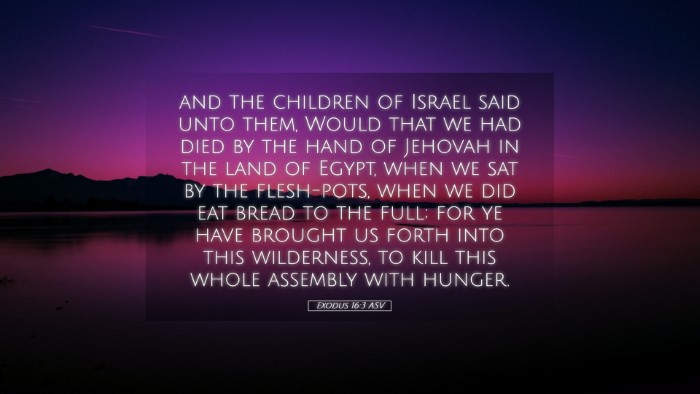 Picture 05 - Exodus 16:3 ASV Desktop Wallpaper - and the children of Israel said unto them, Would - Desktop Bible Verse Wallpaper