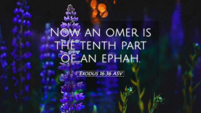 Picture 05 - Exodus 16:36 ASV Desktop Wallpaper - Now an omer is the tenth part of an - Desktop Bible Verse Wallpaper