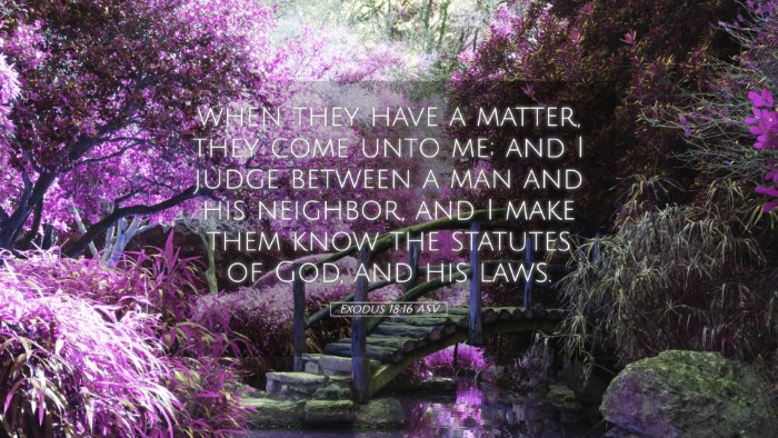 Picture 05 - Exodus 18:16 ASV Desktop Wallpaper - when they have a matter, they come unto me; and I - Desktop Bible Verse Wallpaper