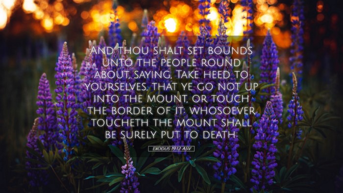 Picture 05 - Exodus 19:12 ASV Desktop Wallpaper - And thou shalt set bounds unto the people round - Desktop Bible Verse Wallpaper