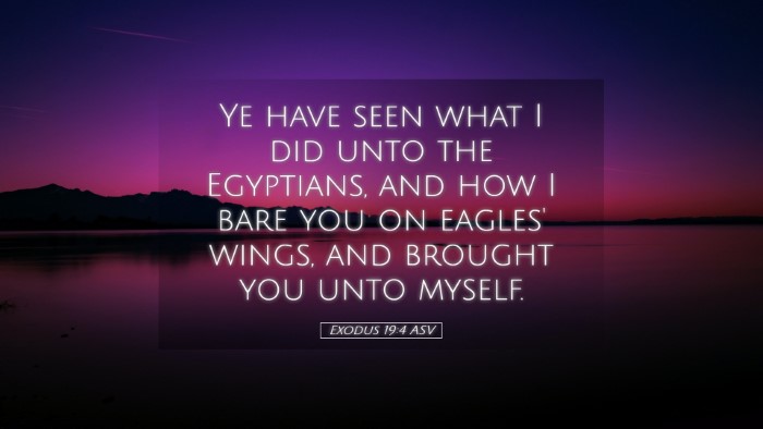 Picture 05 - Exodus 19:4 ASV Desktop Wallpaper - Ye have seen what I did unto the Egyptians, and - Desktop Bible Verse Wallpaper