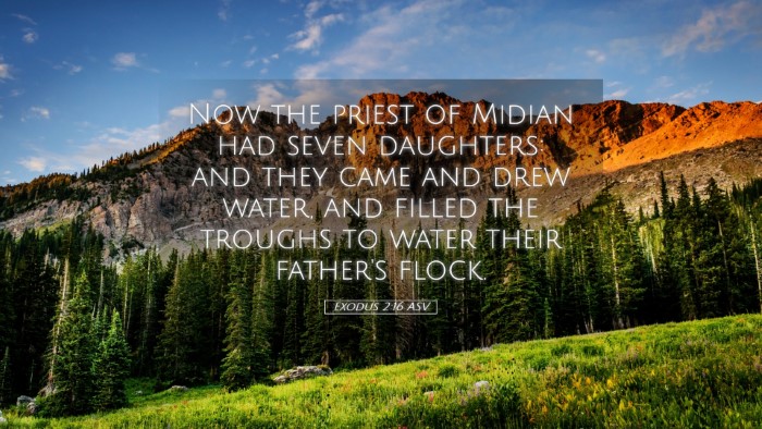 Picture 05 - Exodus 2:16 ASV Desktop Wallpaper - Now the priest of Midian had seven daughters: and - Desktop Bible Verse Wallpaper