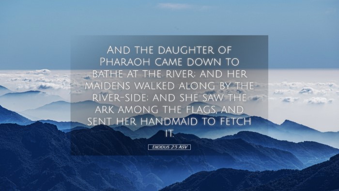 Picture 05 - Exodus 2:5 ASV Desktop Wallpaper - And the daughter of Pharaoh came down to bathe at - Desktop Bible Verse Wallpaper