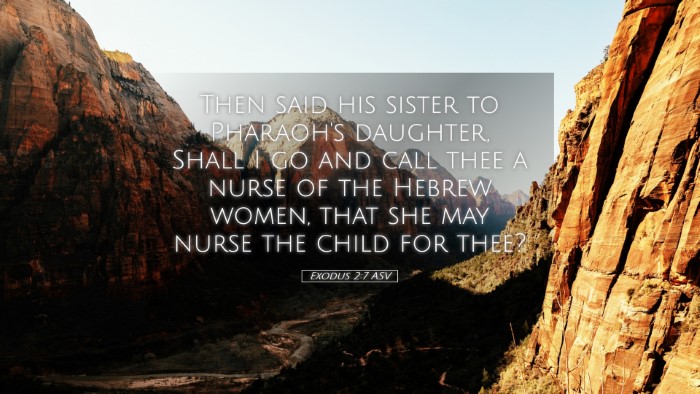 Picture 05 - Exodus 2:7 ASV Desktop Wallpaper - Then said his sister to Pharaoh's daughter, Shall - Desktop Bible Verse Wallpaper