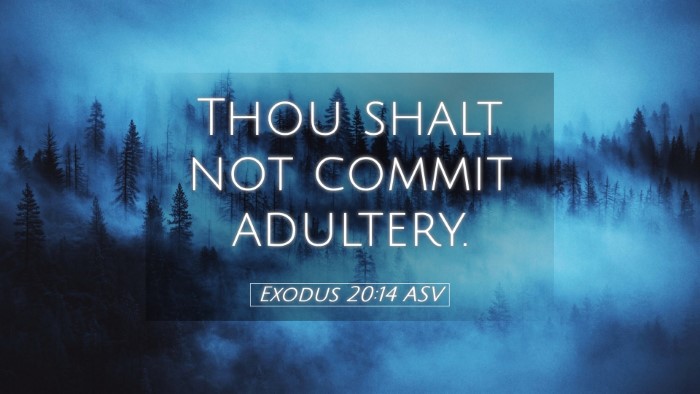 Picture 05 - Exodus 20:14 ASV Desktop Wallpaper - Thou shalt not commit - Desktop Bible Verse Wallpaper