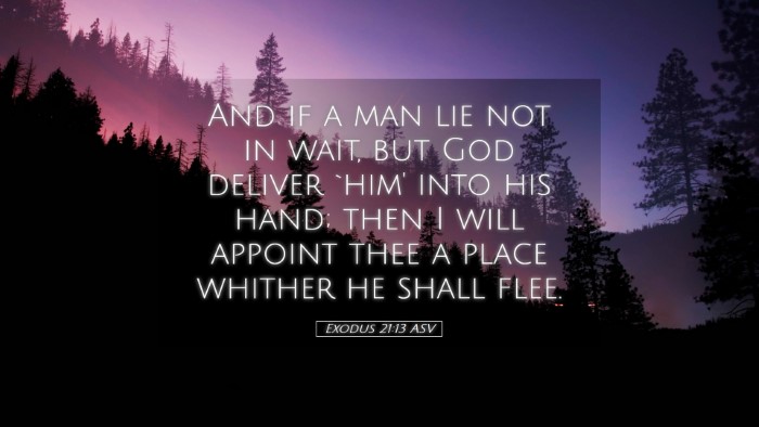 Picture 05 - Exodus 21:13 ASV Desktop Wallpaper - And if a man lie not in wait, but God deliver - Desktop Bible Verse Wallpaper
