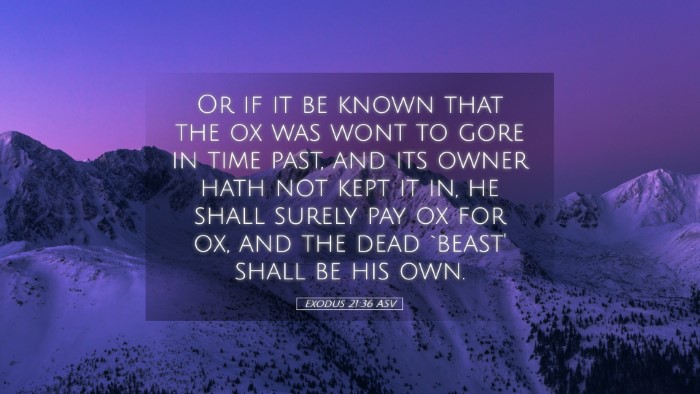 Picture 05 - Exodus 21:36 ASV Desktop Wallpaper - Or if it be known that the ox was wont to gore in - Desktop Bible Verse Wallpaper