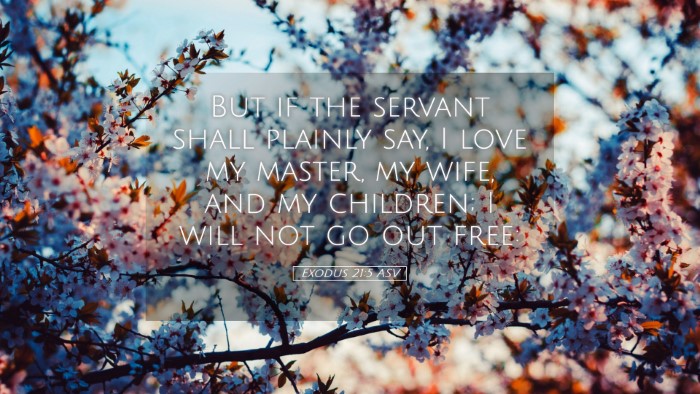 Picture 05 - Exodus 21:5 ASV Desktop Wallpaper - But if the servant shall plainly say, I love my - Desktop Bible Verse Wallpaper