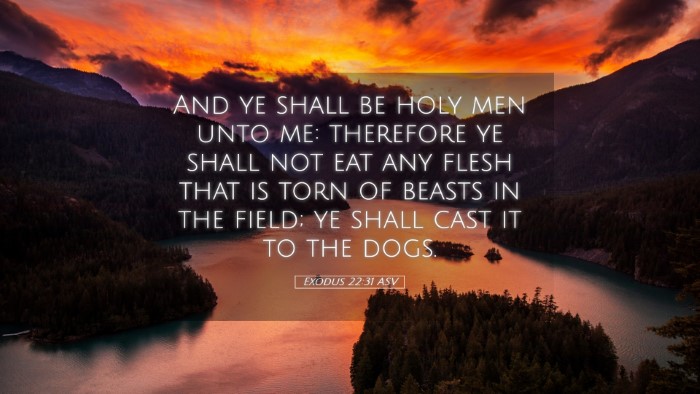 Picture 05 - Exodus 22:31 ASV Desktop Wallpaper - And ye shall be holy men unto me: therefore ye - Desktop Bible Verse Wallpaper