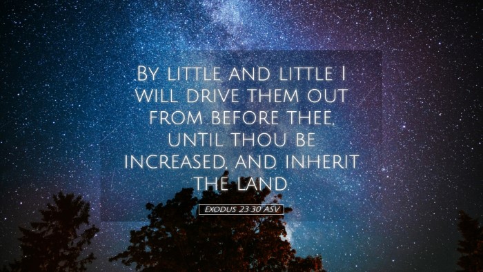 Picture 05 - Exodus 23:30 ASV Desktop Wallpaper - By little and little I will drive them out from - Desktop Bible Verse Wallpaper