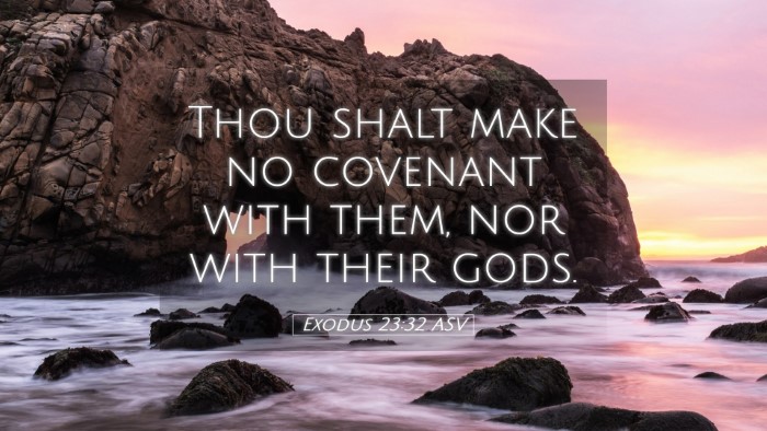 Picture 05 - Exodus 23:32 ASV Desktop Wallpaper - Thou shalt make no covenant with them, nor with - Desktop Bible Verse Wallpaper