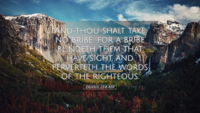 Picture 05 - Exodus 23:8 ASV Desktop Wallpaper - And thou shalt take no bribe: for a bribe - Desktop Bible Verse Wallpaper