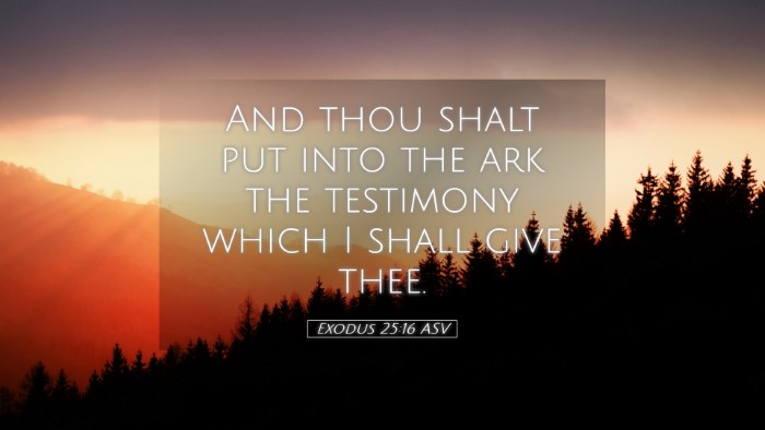 Picture 05 - Exodus 25:16 ASV Desktop Wallpaper - And thou shalt put into the ark the testimony - Desktop Bible Verse Wallpaper