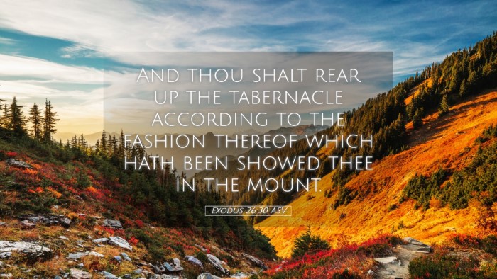 Picture 05 - Exodus 26:30 ASV Desktop Wallpaper - And thou shalt rear up the tabernacle according - Desktop Bible Verse Wallpaper