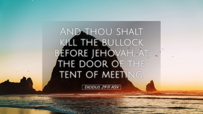 Picture 05 - Exodus 29:11 ASV Desktop Wallpaper - And thou shalt kill the bullock before Jehovah, - Desktop Bible Verse Wallpaper