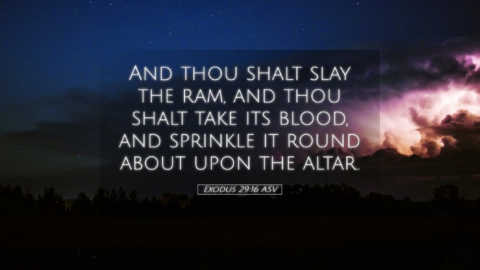Picture 05 - Exodus 29:16 ASV Desktop Wallpaper - And thou shalt slay the ram, and thou shalt take - Desktop Bible Verse Wallpaper