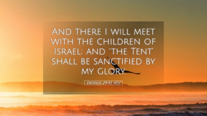 Picture 05 - Exodus 29:43 ASV Desktop Wallpaper - And there I will meet with the children of - Desktop Bible Verse Wallpaper