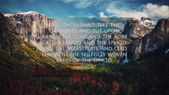 Picture 05 - Exodus 29:5 ASV Desktop Wallpaper - And thou shalt take the garments, and put upon - Desktop Bible Verse Wallpaper