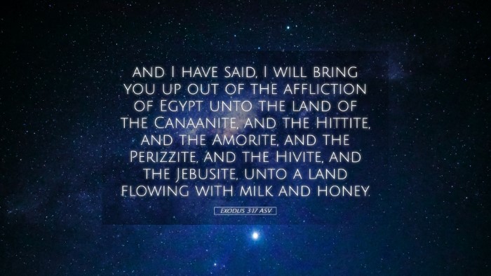 Picture 05 - Exodus 3:17 ASV Desktop Wallpaper - and I have said, I will bring you up out of the - Desktop Bible Verse Wallpaper