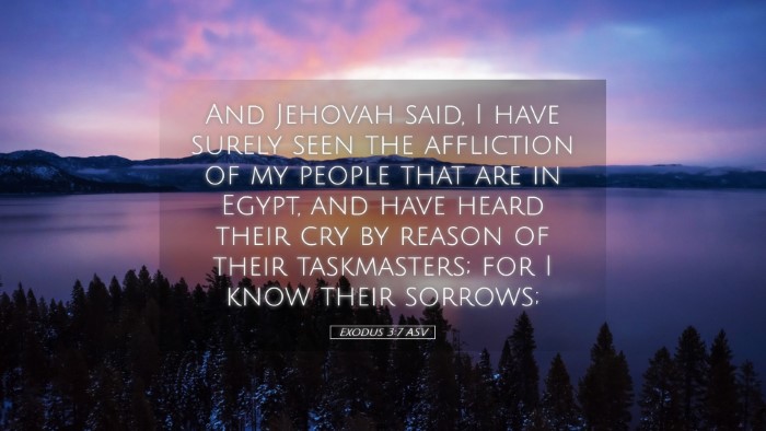 Picture 05 - Exodus 3:7 ASV Desktop Wallpaper - And Jehovah said, I have surely seen the - Desktop Bible Verse Wallpaper