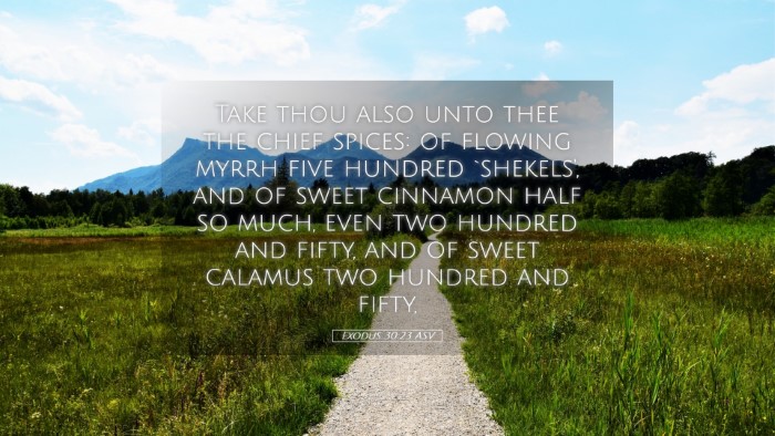 Picture 05 - Exodus 30:23 ASV Desktop Wallpaper - Take thou also unto thee the chief spices: of - Desktop Bible Verse Wallpaper
