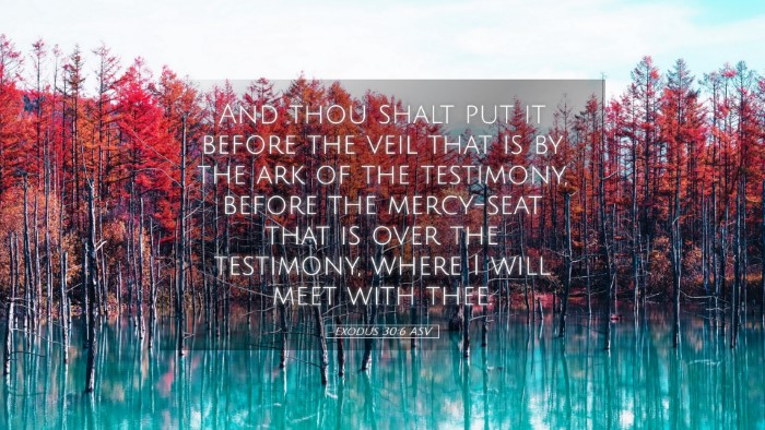 Picture 05 - Exodus 30:6 ASV Desktop Wallpaper - And thou shalt put it before the veil that is by - Desktop Bible Verse Wallpaper