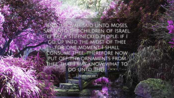 Picture 05 - Exodus 33:5 ASV Desktop Wallpaper - And Jehovah said unto Moses, Say unto the - Desktop Bible Verse Wallpaper