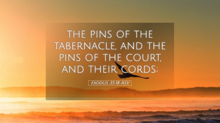 Picture 05 - Exodus 35:18 ASV Desktop Wallpaper - the pins of the tabernacle, and the pins of the - Desktop Bible Verse Wallpaper
