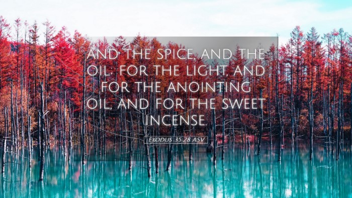 Picture 05 - Exodus 35:28 ASV Desktop Wallpaper - and the spice, and the oil; for the light, and - Desktop Bible Verse Wallpaper