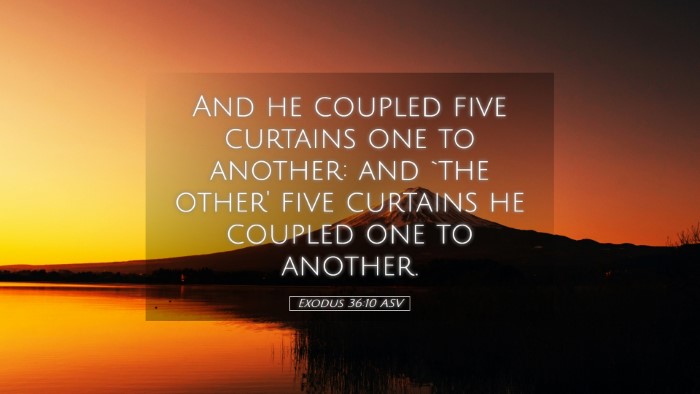 Picture 05 - Exodus 36:10 ASV Desktop Wallpaper - And he coupled five curtains one to another: and - Desktop Bible Verse Wallpaper