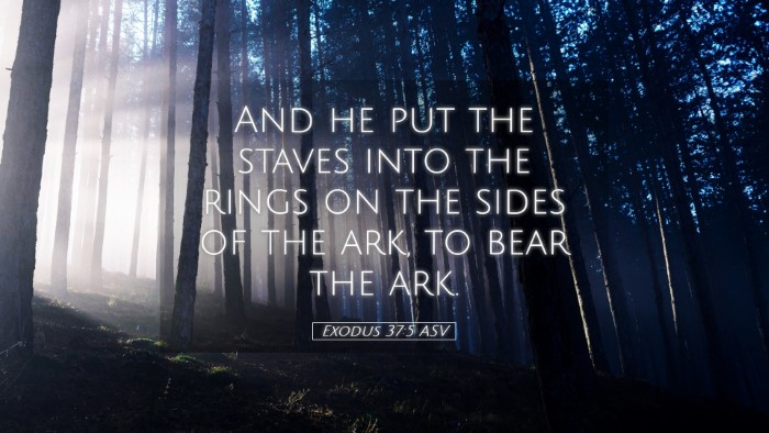Picture 05 - Exodus 37:5 ASV Desktop Wallpaper - And he put the staves into the rings on the sides - Desktop Bible Verse Wallpaper